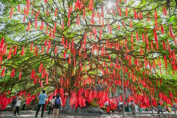 Cậy ước nguyện nhiệm màu