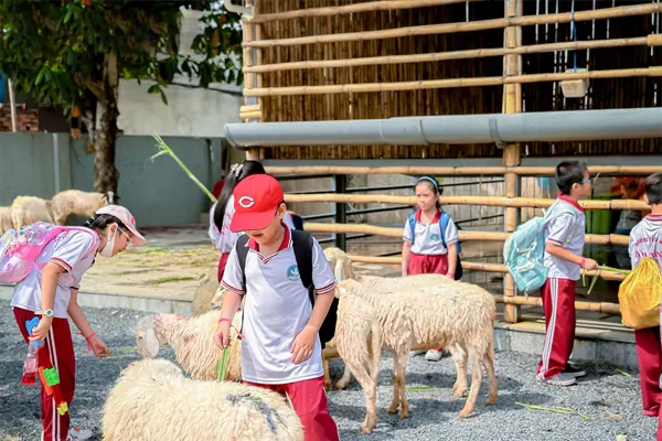 Hoạt động ngoại khoá